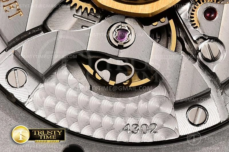 AP0627 – Royal Oak 41mm FlexibleFit 79