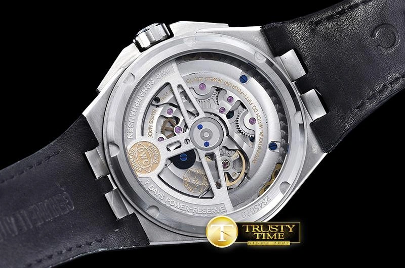 IWC0356B – Ingenieur Trendsetting 198