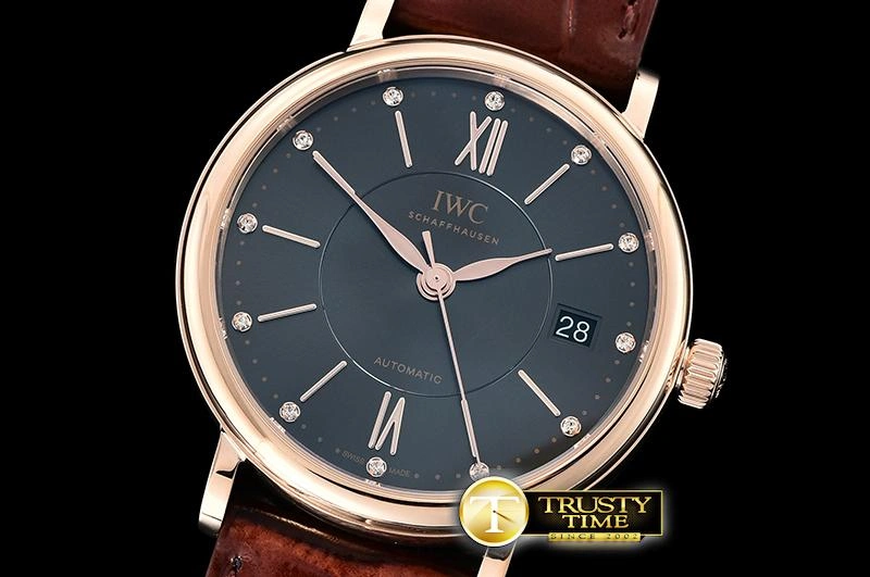 StreetReady IWC0425B – Portofino Automatic 206