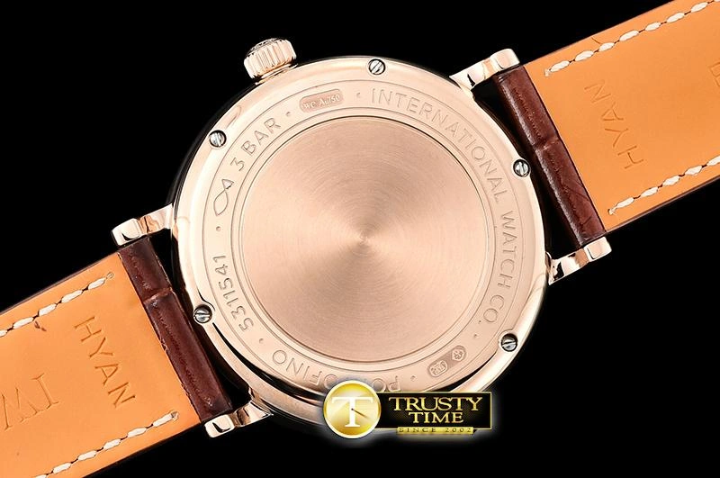 StreetReady IWC0425B – Portofino Automatic 206