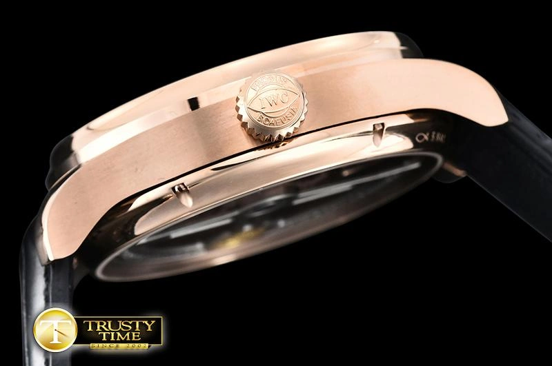 IWC0428A – Portuguese Tourbillon Supportive 251