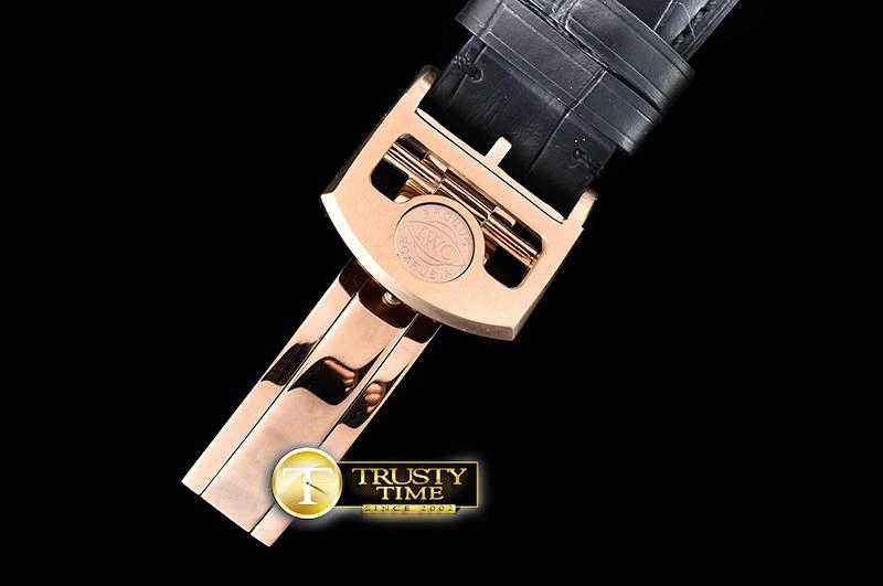 IWC0428A – Portuguese Tourbillon Supportive 251