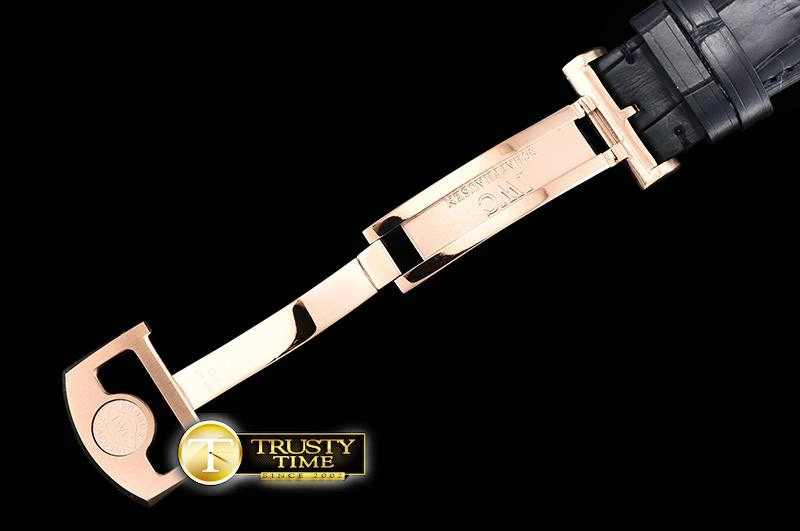 IWC0428A – Portuguese Tourbillon Supportive 251