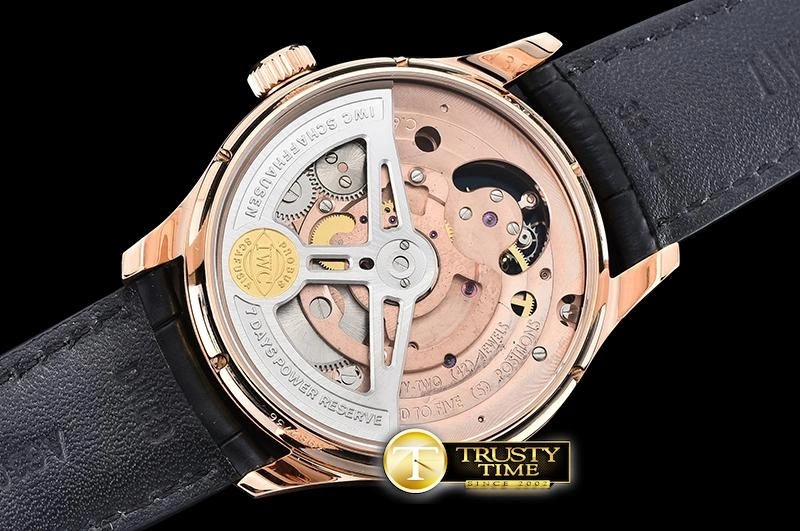 IWC0428A – Portuguese Tourbillon Supportive 251
