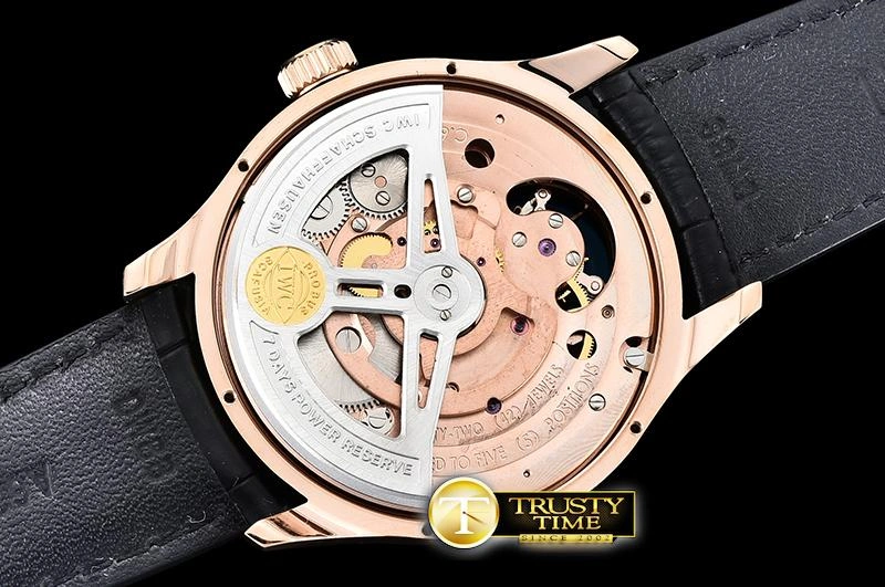 IWC0428A – Portuguese Tourbillon Supportive 251