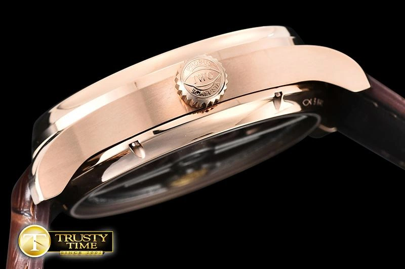 IWC0428B – Portuguese Tourbillon Lightweight 222