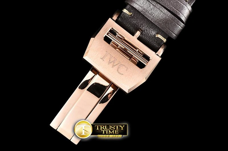 BestValue IWC0429B -Big Pilot Annual 228