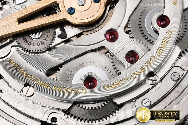IWC0466A – Portugieser EyeCatching 264