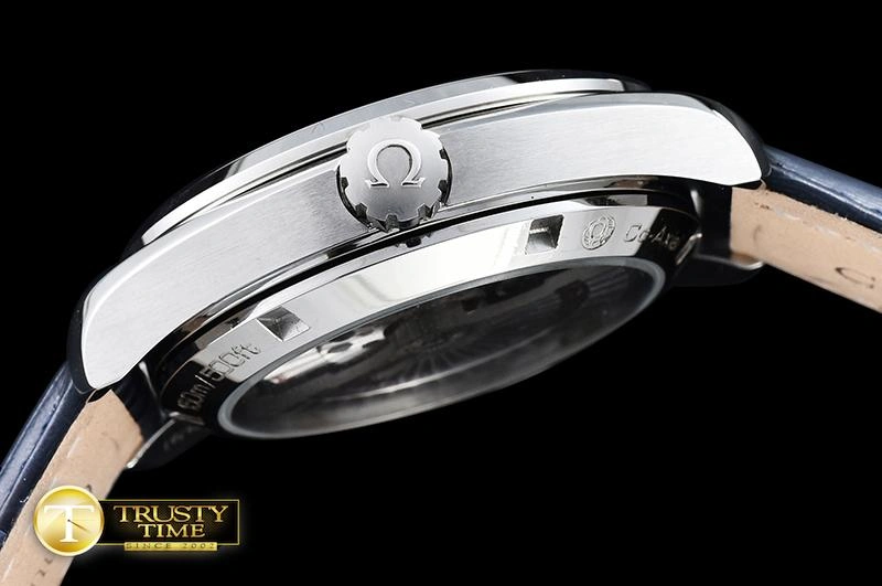 OMG0464A – Aqua Terra 38mm EasyCare 292