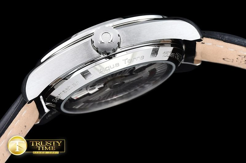 OMG0464D – Aqua Terra 38mm Minimalist 286