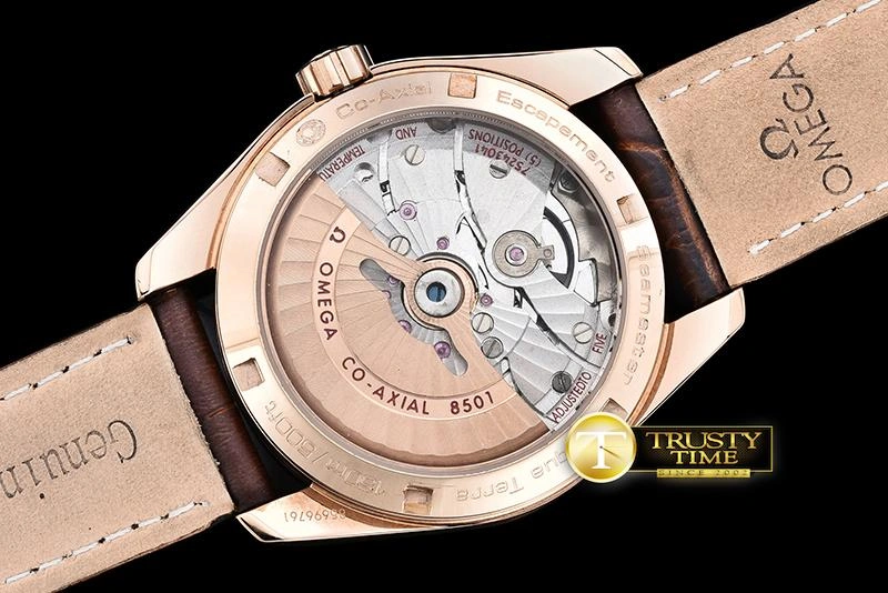 OMG0464G – Aqua Terra 38mm SportInspired 304