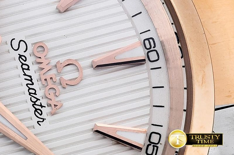 OMG0465B – Aqua Terra 38mm GoAnywhere 295