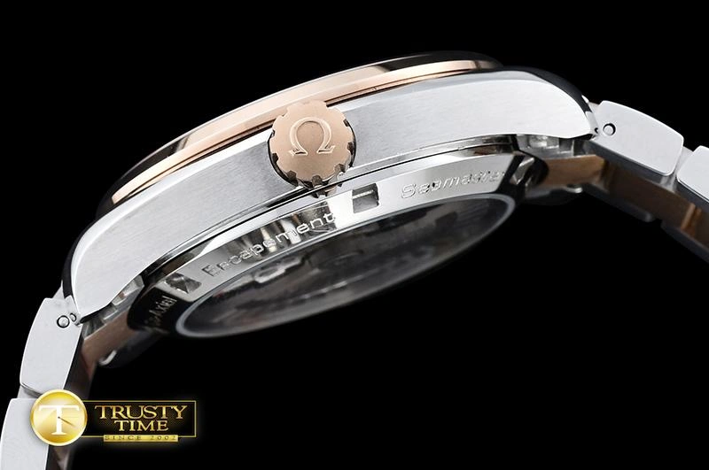 OMG0465B – Aqua Terra 38mm GoAnywhere 295