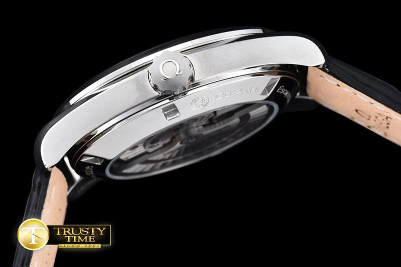 OMG0469B – Seamaster Aqua Terra 41mm Popular 301