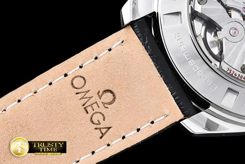 OMG0469B – Seamaster Aqua Terra 41mm Popular 301