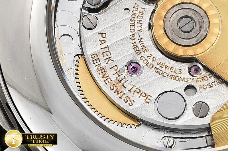 Classic PP0263C – Complication 447