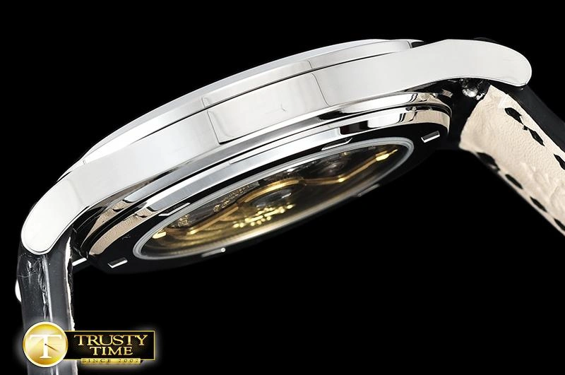 PP0310A – Calatrava Durable 461