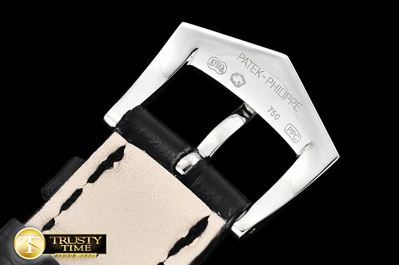 PP0310A – Calatrava Durable 461