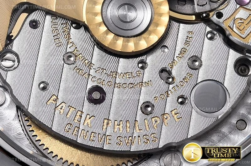 Popular PP0342C – Nautilus 484
