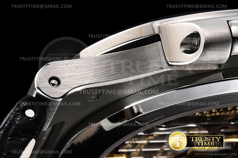 FashionForward PP0356B – Nautilus 498
