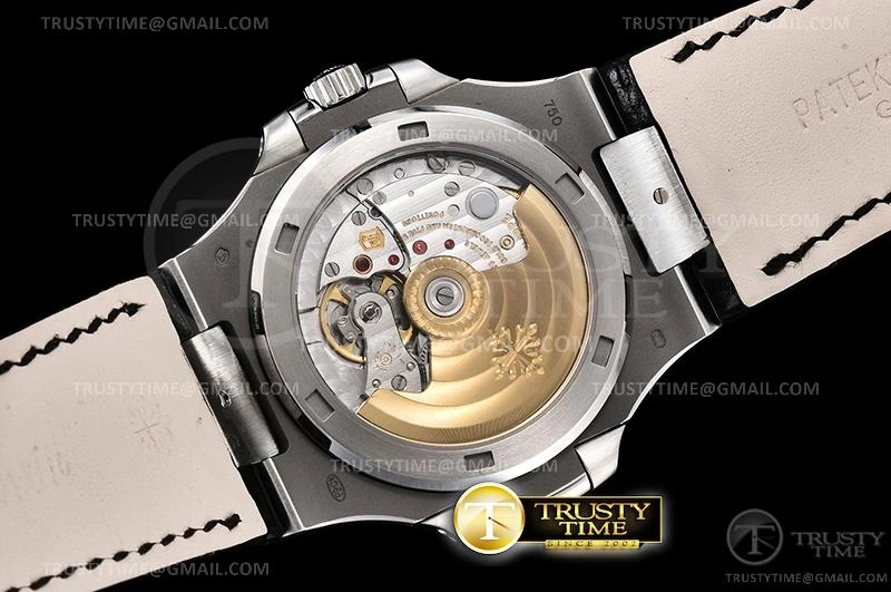 FashionForward PP0356B – Nautilus 498