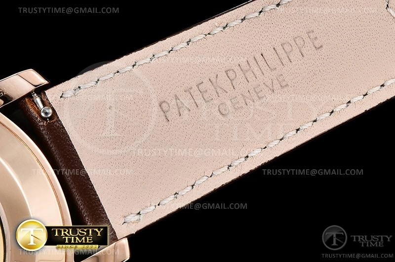 PP0357 -Calatrava SmoothTexture 501