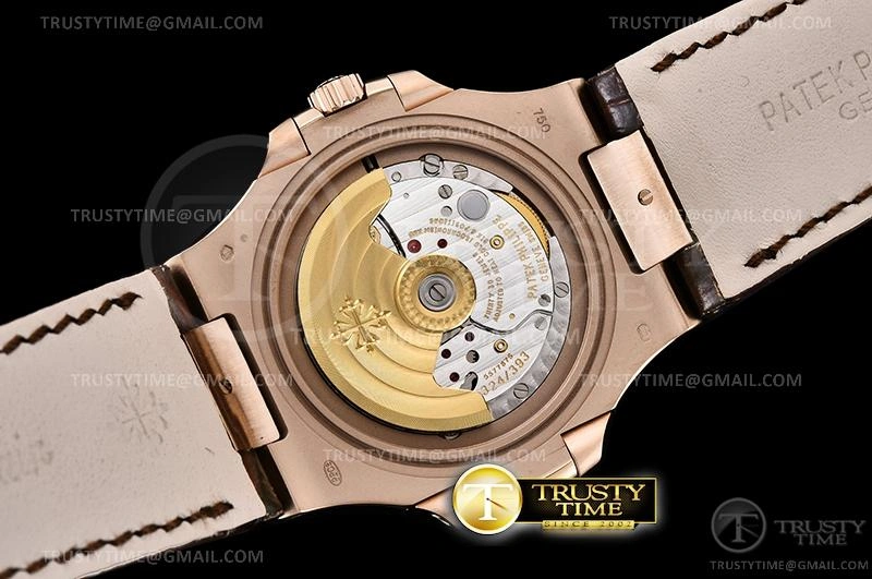 Upgraded PP0361B – Nautilus 505