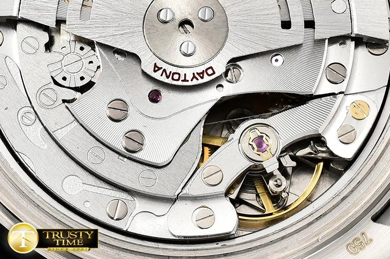 ROLDYT0246 – Daytona Fashionable 899