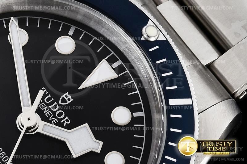 WaterResistant TUD071B – Heritage Black Bay 1168