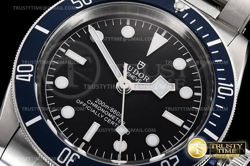 WaterResistant TUD071B – Heritage Black Bay 1168