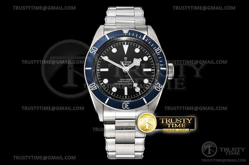 WaterResistant TUD071B – Heritage Black Bay 1168