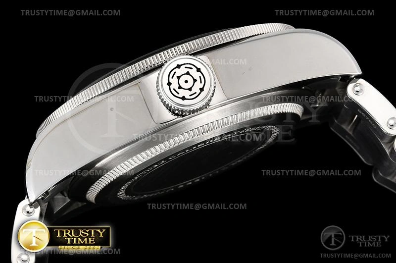 WaterResistant TUD071B – Heritage Black Bay 1168