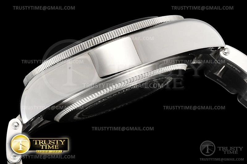 WaterResistant TUD071B – Heritage Black Bay 1168