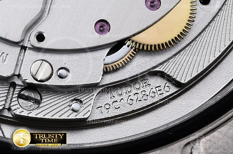 TUD072 – Tudor Pelagos Titanium Sustainable 1170