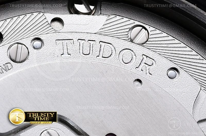 TUD072 – Tudor Pelagos Titanium Sustainable 1170
