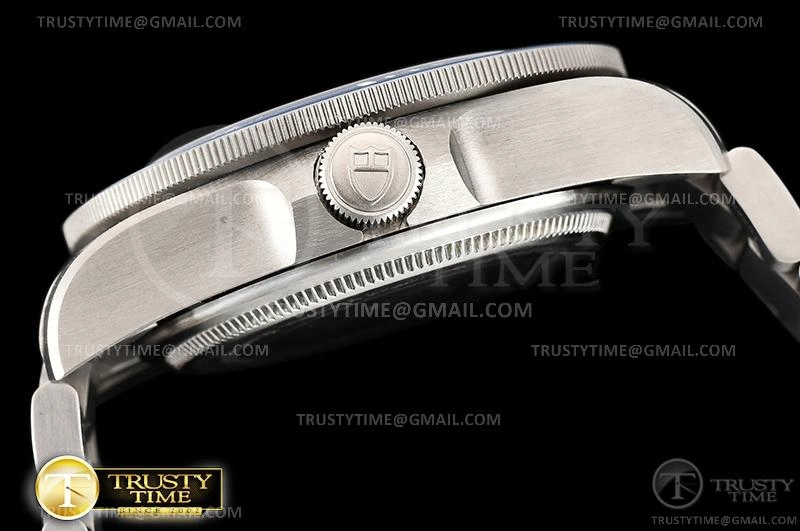 Versatile TUD073 – Tudor Pelagos Titanium 1171