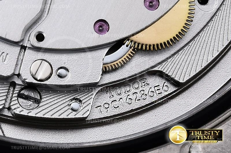 Versatile TUD073 – Tudor Pelagos Titanium 1171