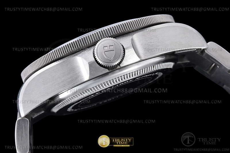 FlexibleFit Tudor Pelagos Titanium TI TI Black XF V5 Asia 1173