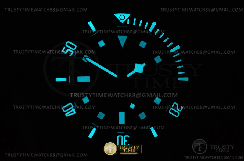 FlexibleFit Tudor Pelagos Titanium TI TI Black XF V5 Asia 1173